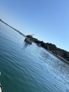 とらいやるあんどえら〜