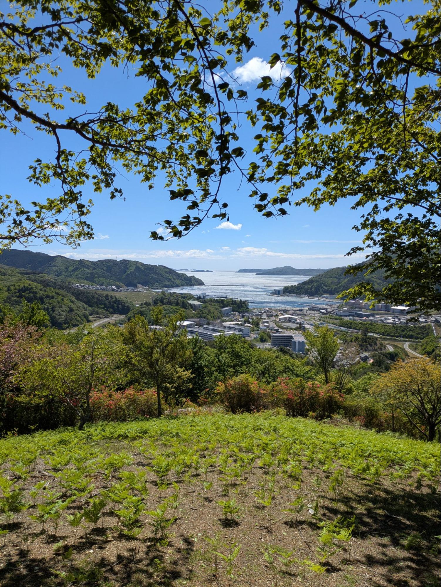 ありがとう、女川