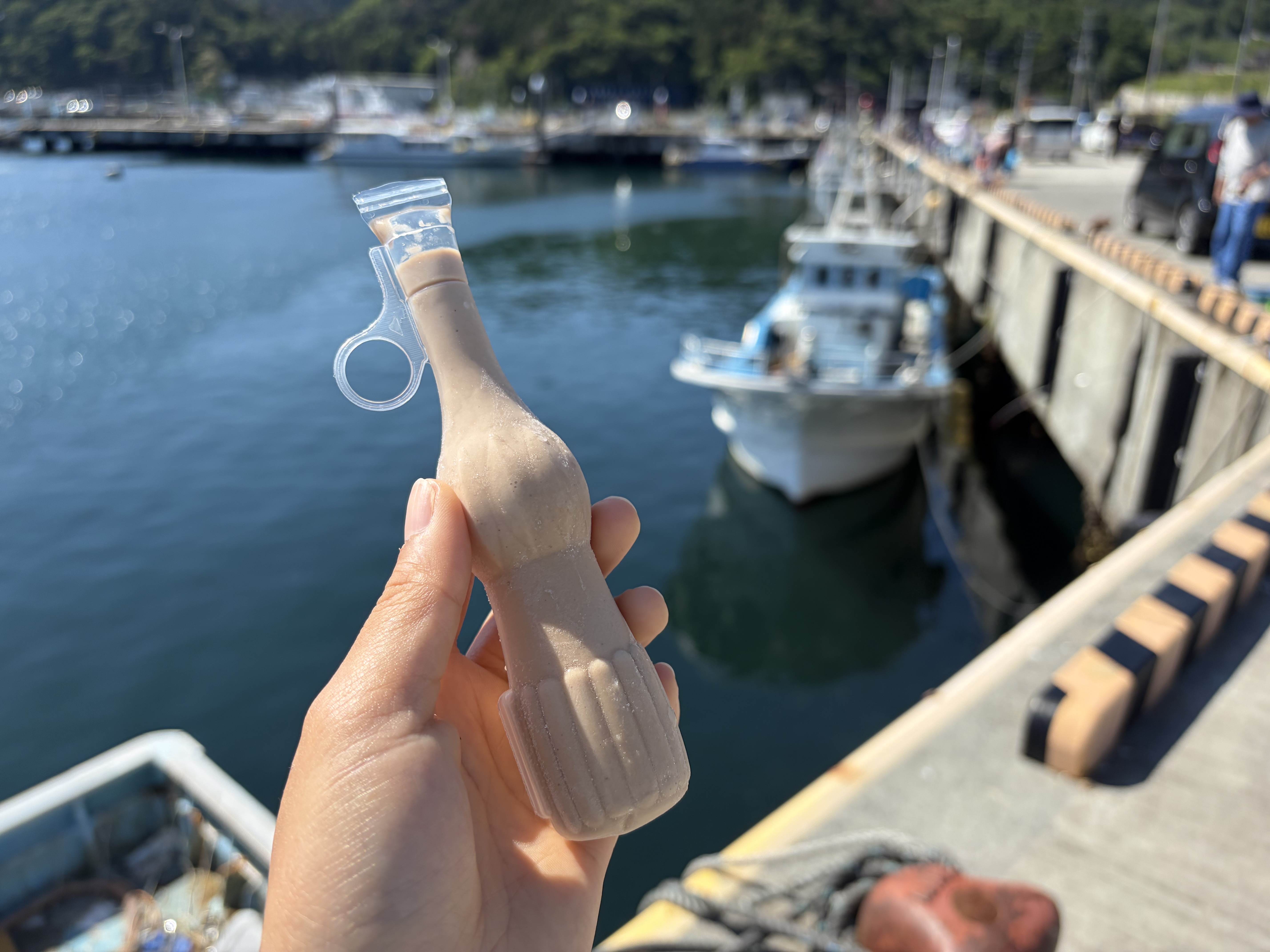 漁港でアイスを食べる