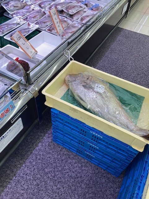 巨大魚