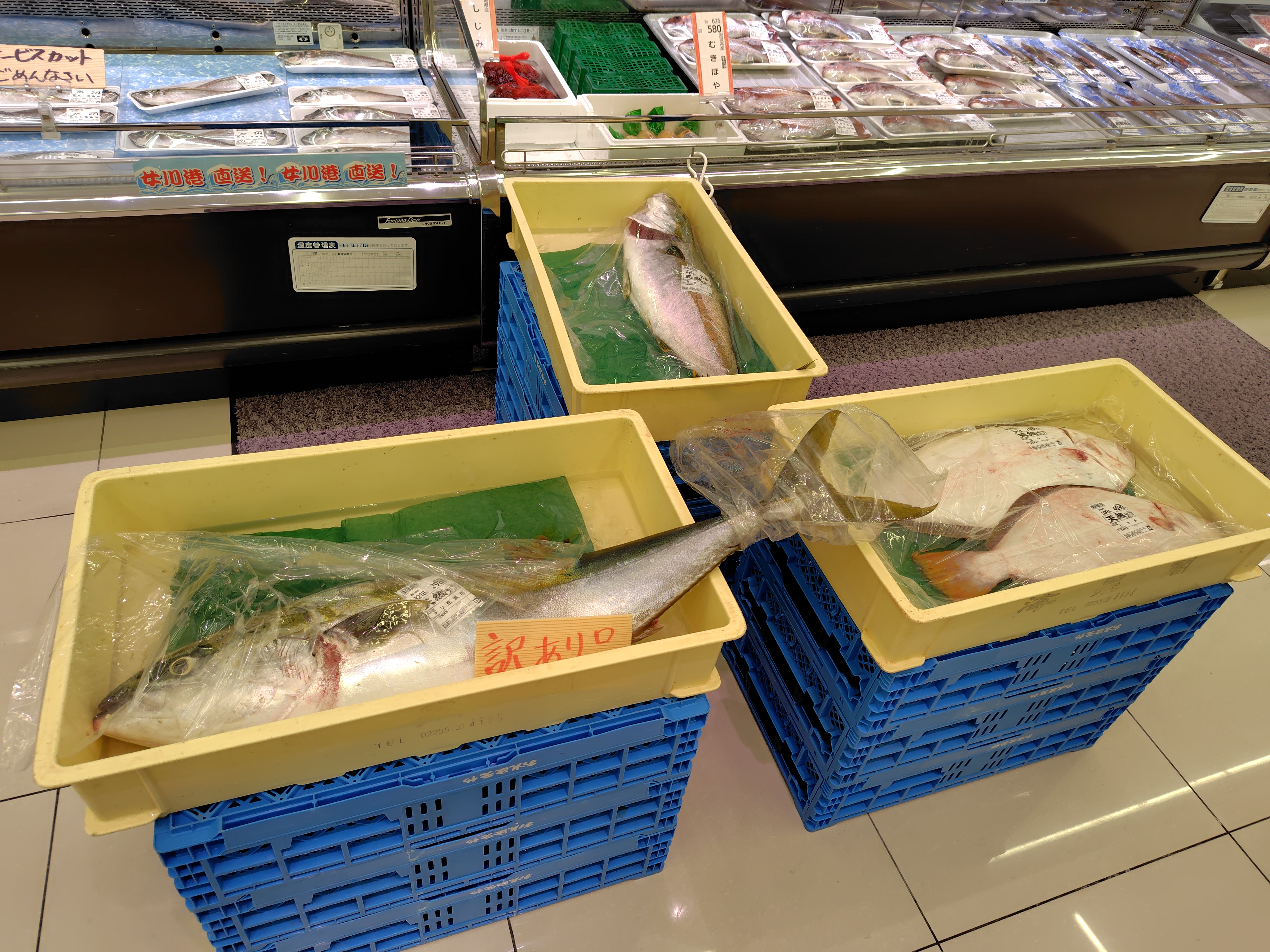 スーパーで大きい魚！？