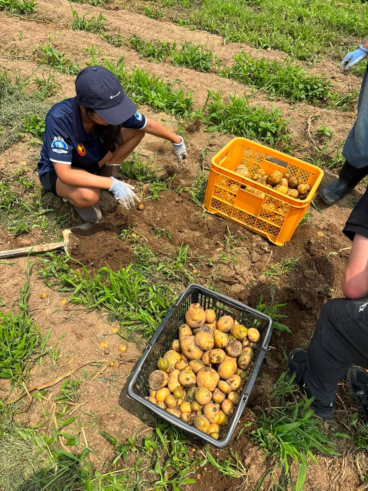 土の中の宝探し！笑顔あふれる農業体験