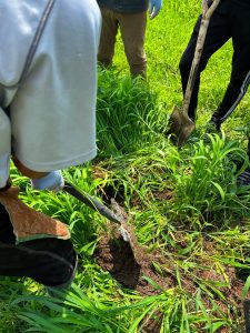 女川での三連休 農業体験