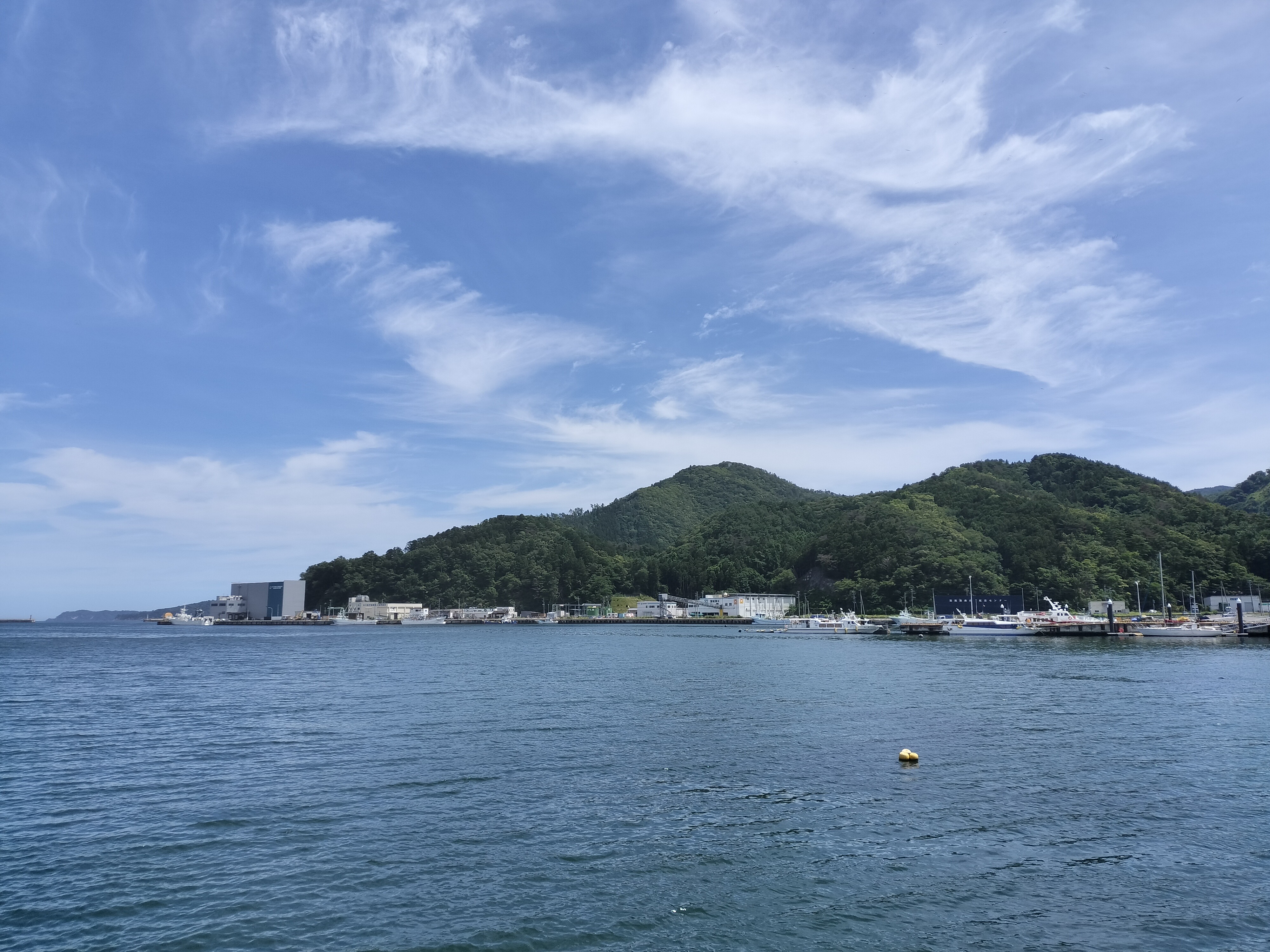 女川で海を見ることがことができました！