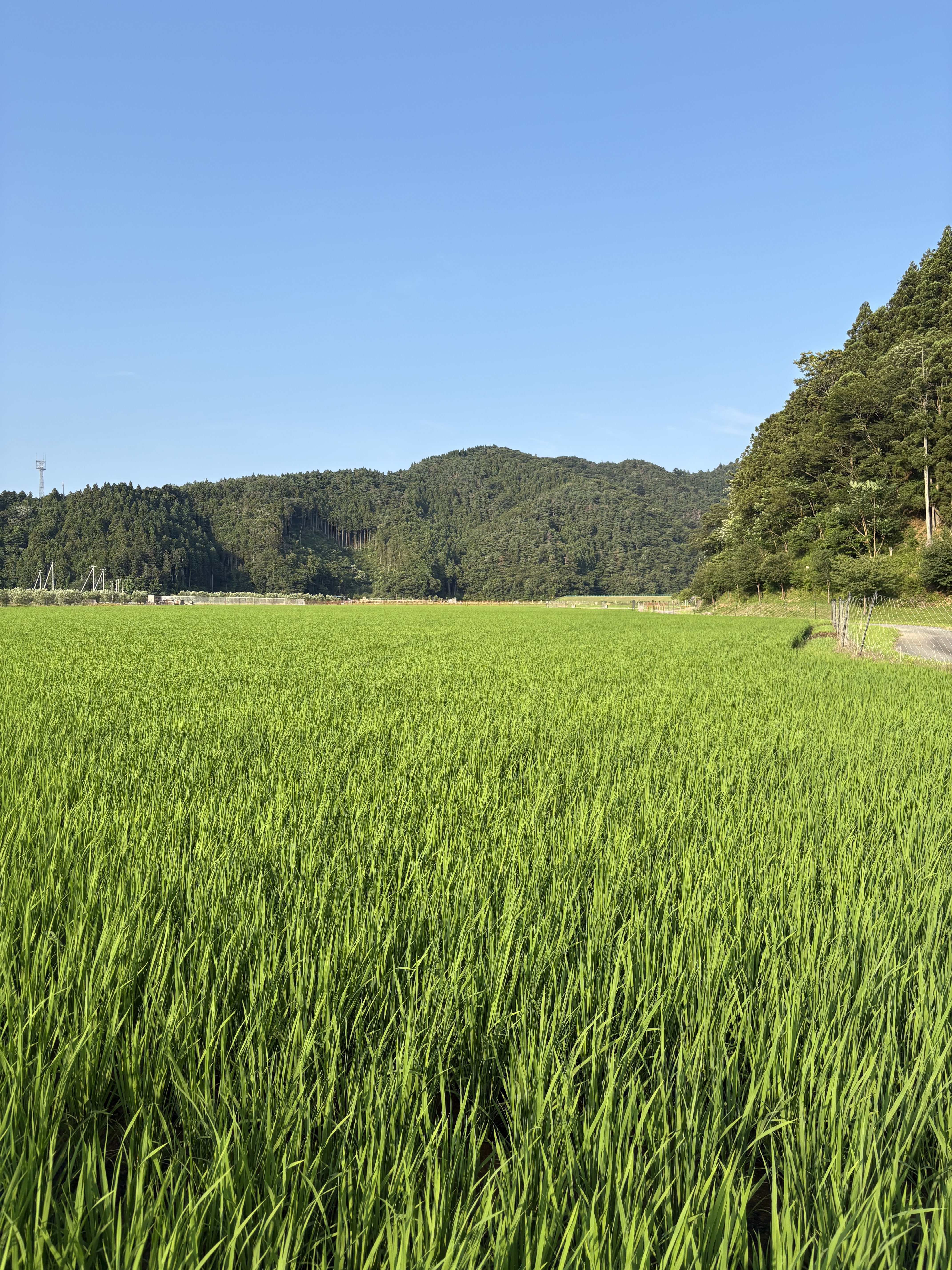 見えないもの