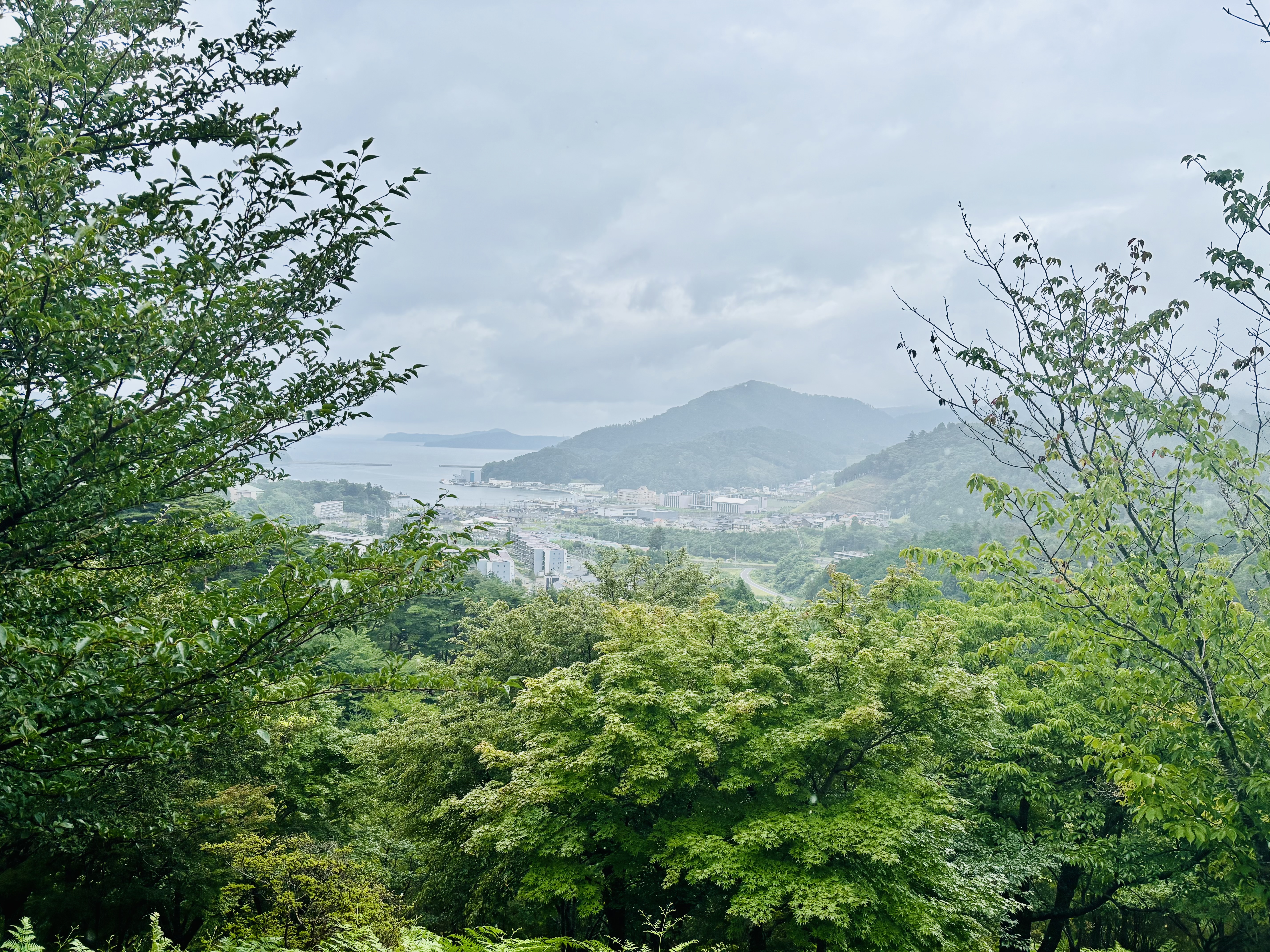 女川　3日目