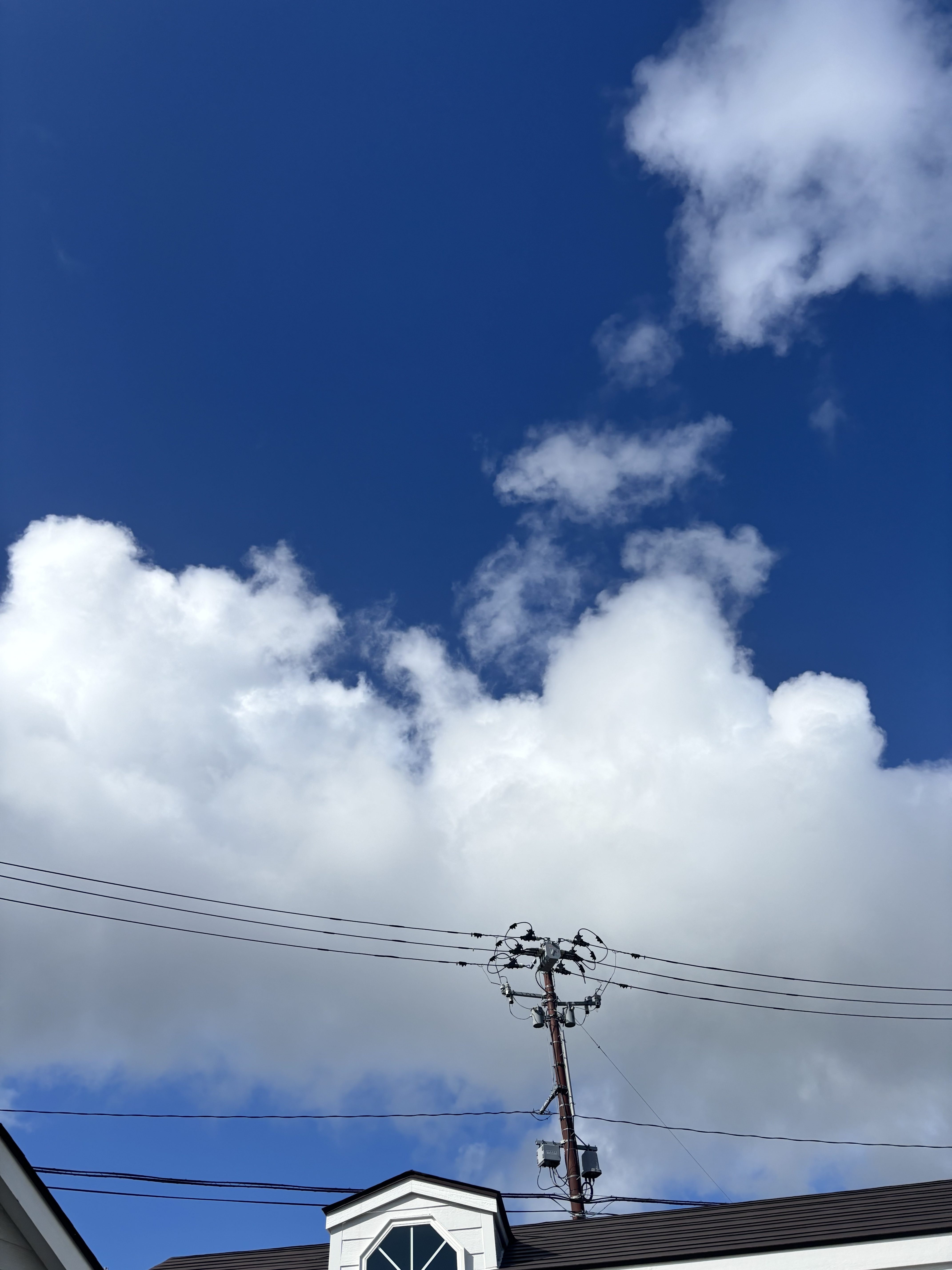 女川銀鮭広報部で働いた！！