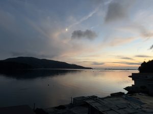 女川で駆け抜けた夏