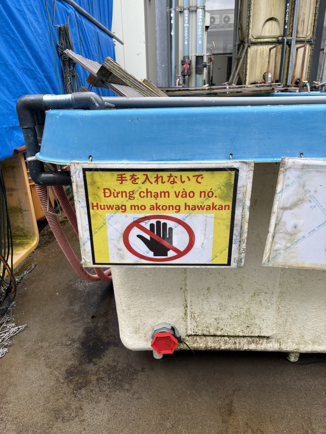 言語はまじで面白い