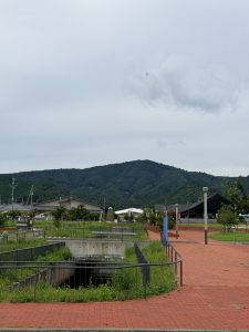 海と花火と、たくさんの虫